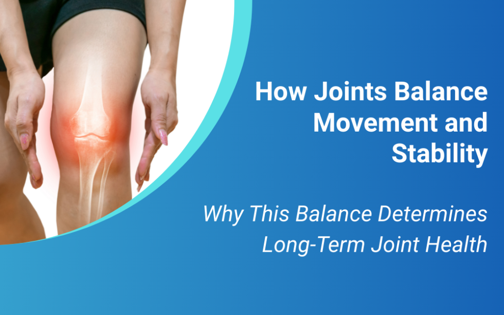 How Joints Balance Movement and Stability: Why This Balance Determines ...