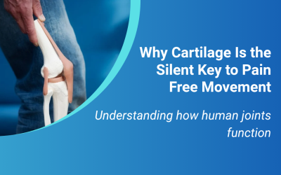 Why Cartilage Is the Silent Key to Pain-Free Movement