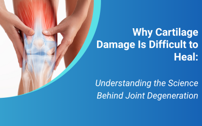 Why Cartilage Damage Is Difficult to Heal: Understanding the Science Behind Joint Degeneration